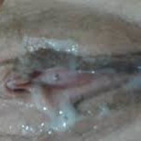 ¡Este nació con el regalo de ser una perra! - Foto 16602