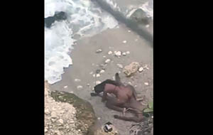 Lo graban Singando en la playa